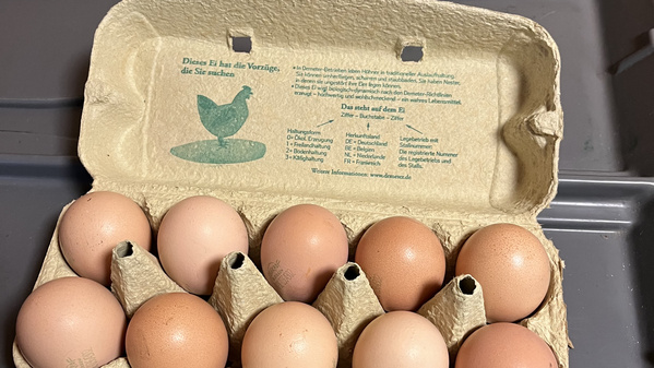 KI generiert: Die Hauptinhalte des Bildes sind eine geöffnete Eierverpackung mit zehn Eiern darin. Die Eier liegen in einem Karton auf einer dunklen Oberfläche.