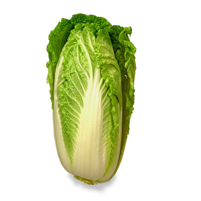 Produktfoto zu Chinakohl, ca. 600g je Stück