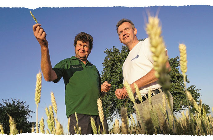 Fachhandelsmarke Spielberger Mühle