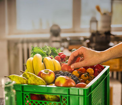Produktfoto zu Hier geht's zur Jobkiste