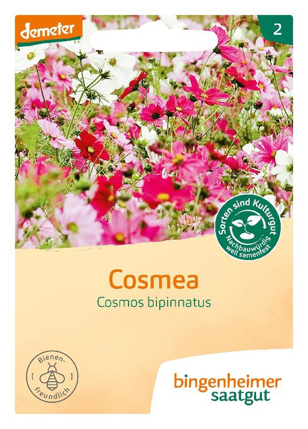 Produktfoto zu Bingenheimer Saatgut - Cosmea
