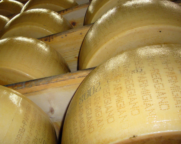 Parmigiano Reggiano Laibe