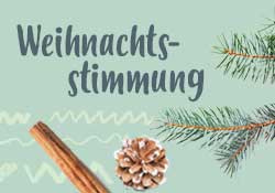 KI generiert: Text "Weihnachtsstimmung" mit Zimtstange, Tannenzweig und Tannenzapfen auf grünem Hintergrund.
