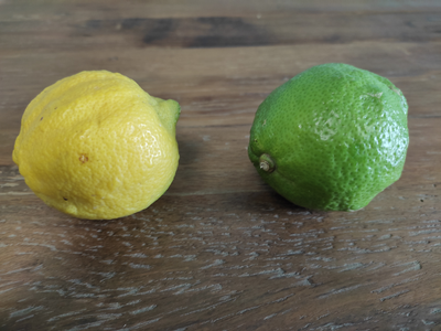 grüne und gelbe Zitrone