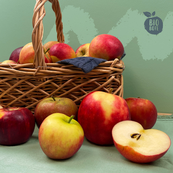 Korb mit deutschen Bio-Äpfeln