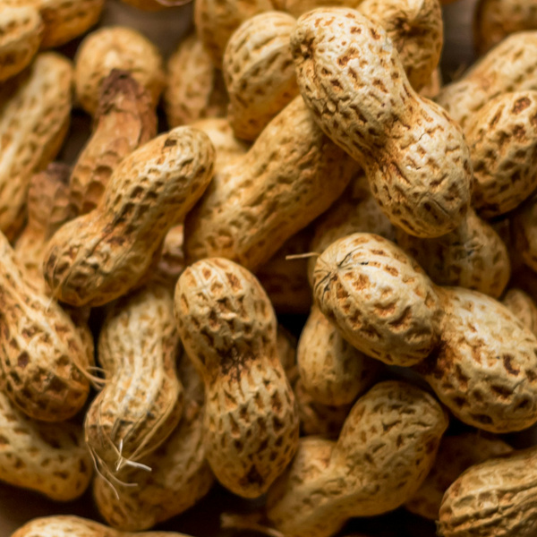 KI generiert: Erdnüsse in ihrer Schale sind in Nahaufnahme zu sehen.