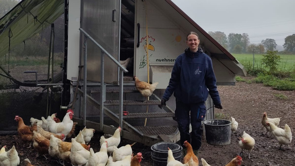 KI generiert: Eine Person arbeitet in einem Raum mit Holzwänden und verpackt Eier in Kartons. Der Hauptinhalt des Bildes ist der Verpackungsprozess von Eiern auf einem Tisch oder einer Maschine.