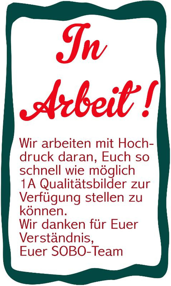 Produktfoto zu Sobo - Vanillesauce (in der Tüte) - 55g