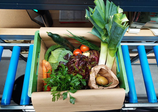 grüne Biokiste, frisch gepackt, auf dem Packband