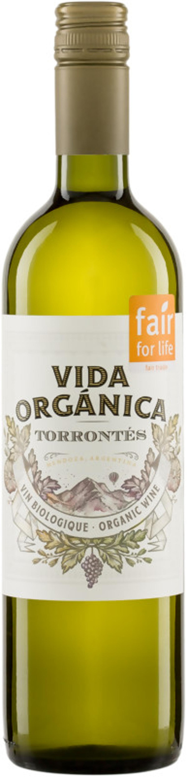 Produktfoto zu Torrontés Mendoza Santa Julia, trocken - 0,75