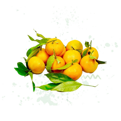 Dinkel Mie Nudeln vegan