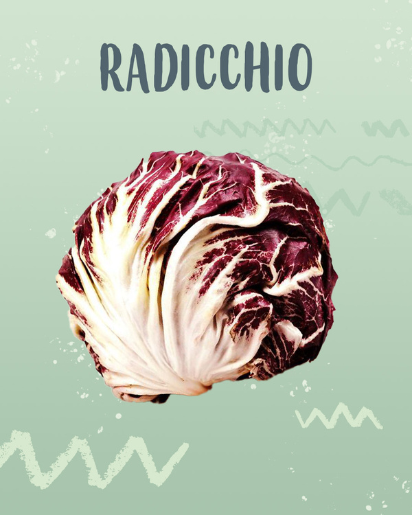 Radicchio