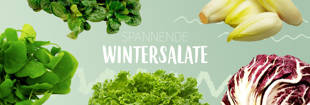 Wintersalate wie Feldsalat, Postelein, Endivie, Radicchio, ChicoréeGrünkohl, Schwarzwurzeln
