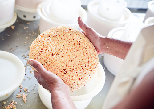 Käse Herstellzung Hof Butendiek