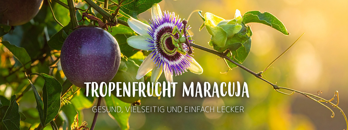 KI generiert: Maracuja an der Pflanze mit Blüte. Text: "Tropenfrucht Maracuja - Gesund, vielseitig und einfach lecker".