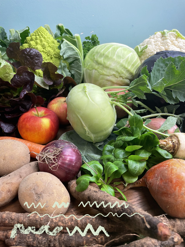 KI generiert: Das Bild zeigt eine Auswahl an frischem Gemüse und Obst, darunter Kohl, Salat, Äpfel, Kartoffeln und Karotten. Die Anordnung der Produkte vermittelt einen Eindruck von Vielfalt und Frische.