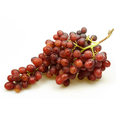 Produktfoto zu Trauben rot, Sorte Sweet Celebration - kernlos