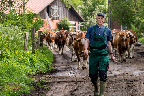 teaser Tour de Kaas - Etappe Allgäu