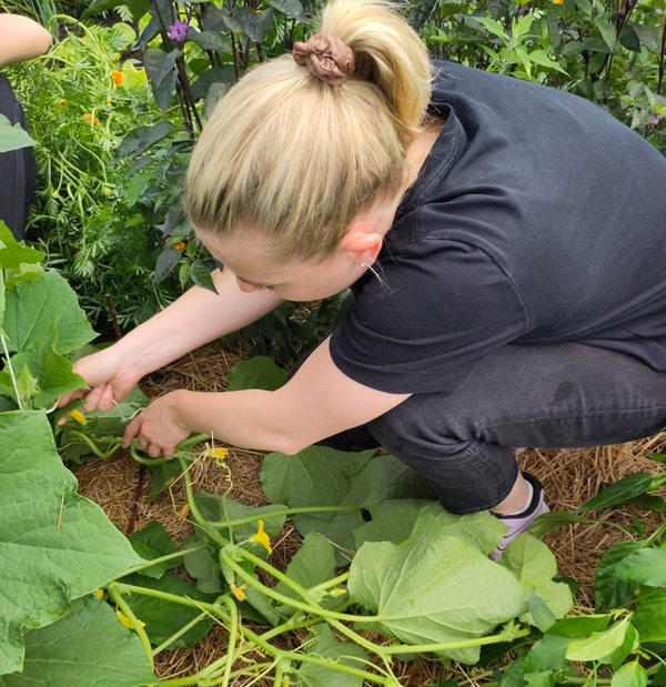 Alina Praktikum Heuerhof
