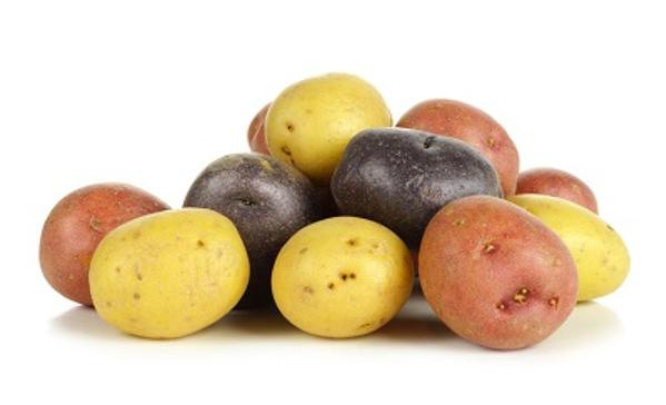 bunte Gourmetkartoffeln