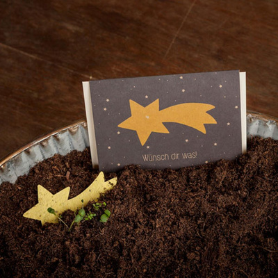 Produktfoto zu Stadtgärtner - Grußkarte, Wünsch Dir was