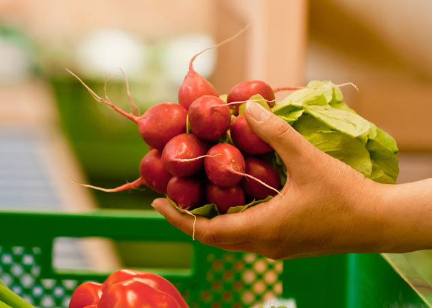 HaHand hält Bund Radieschen über Biokiste
