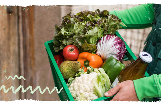 Kennst du alle wichtigen Facts rund um deine Biokiste im Sommer?