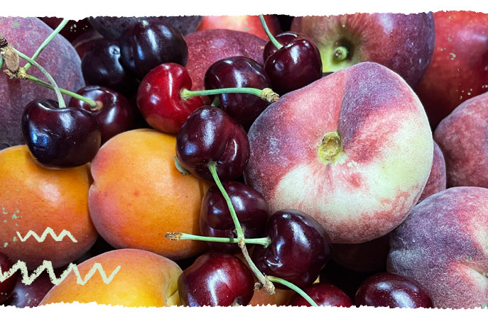 Steinfrüchte Aprikosen, Kischen, Pfirsiche, Nektarinen