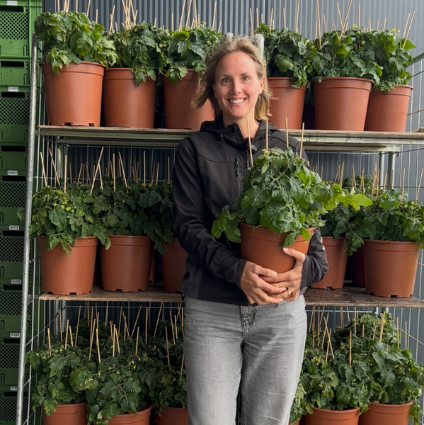KI generiert: Eine Person hält eine Topfpflanze, umgeben von mehreren ähnlichen Pflanzen auf Regalen.