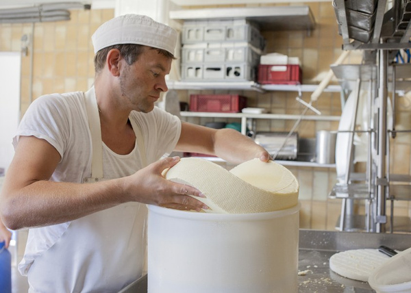 Käseherstellung Hof Dannwisch