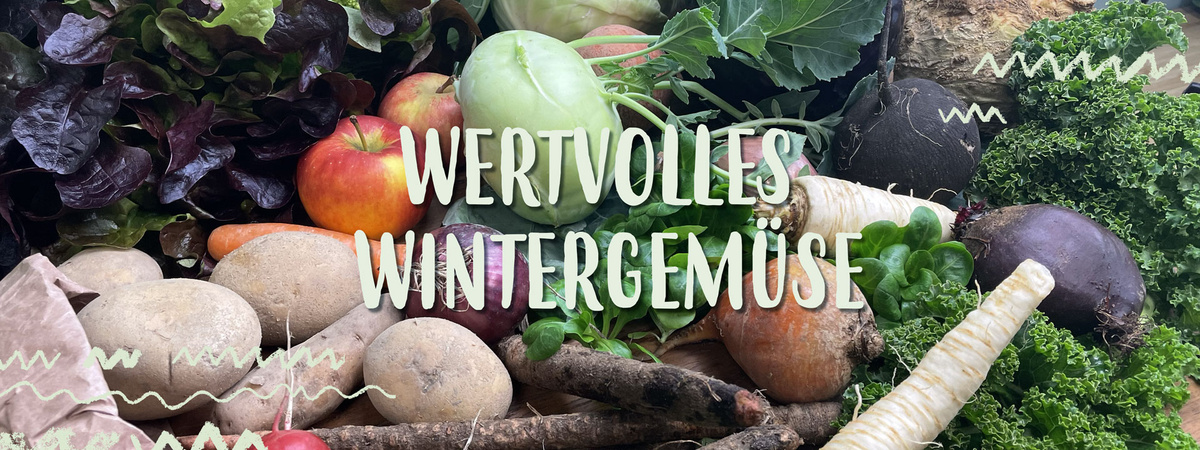 Wertvolles Wintergemüse - Feldsalat, Grünkohl, Schwarzwurzeln