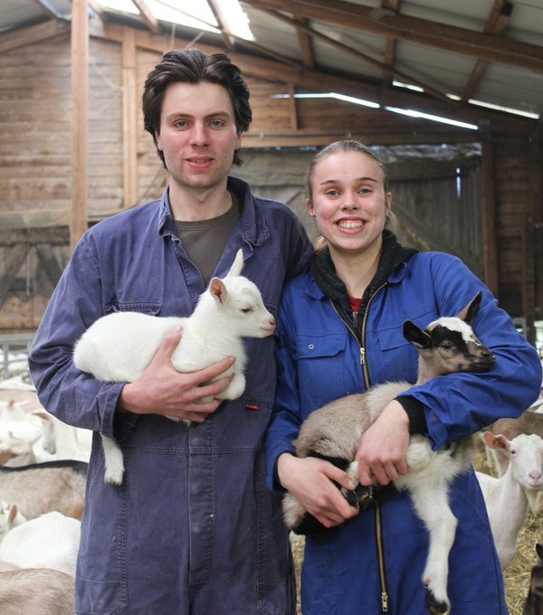 KI generiert: Zwei Personen in Arbeitskleidung halten junge Ziegen in einem Stall.