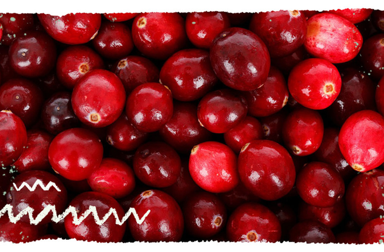 frische Cranberries