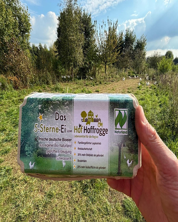 Produktfoto zu Hof Hoffrogge - Eier - 6er Karton