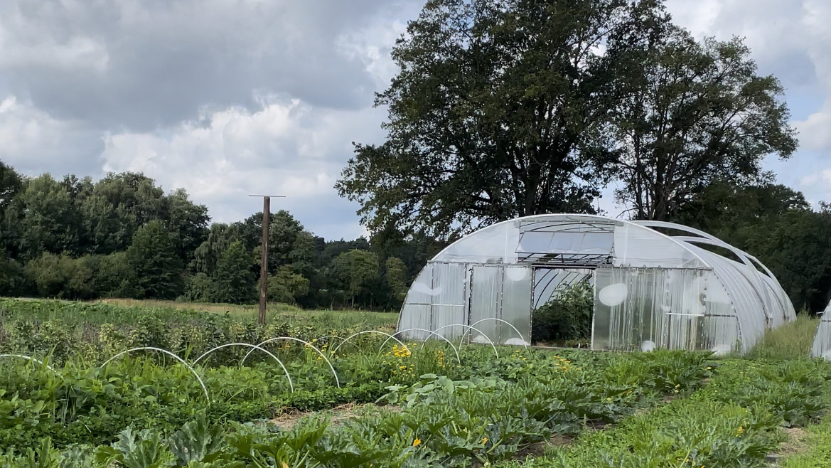 Heuerhof, Gemüseanbau