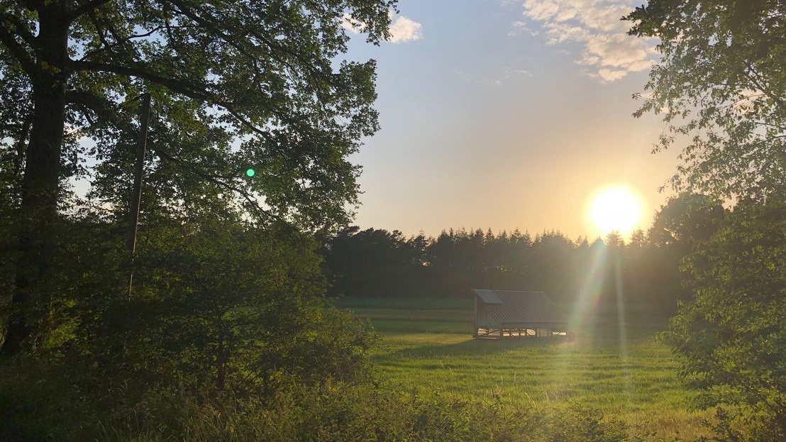 Heuerhof, Hühnermobil