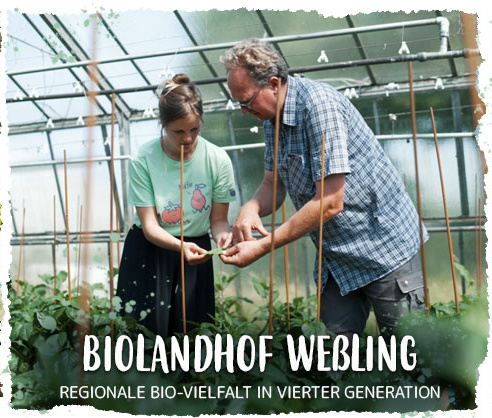 Bioland Gemüsehof Wessling in Neuenkirchen
