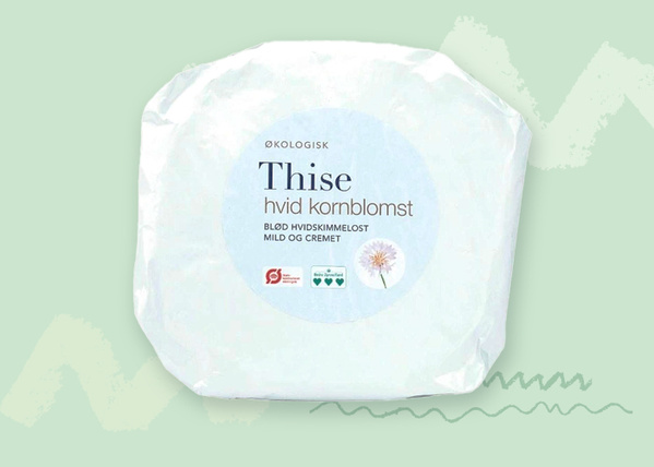 Thise weiße Kornblume