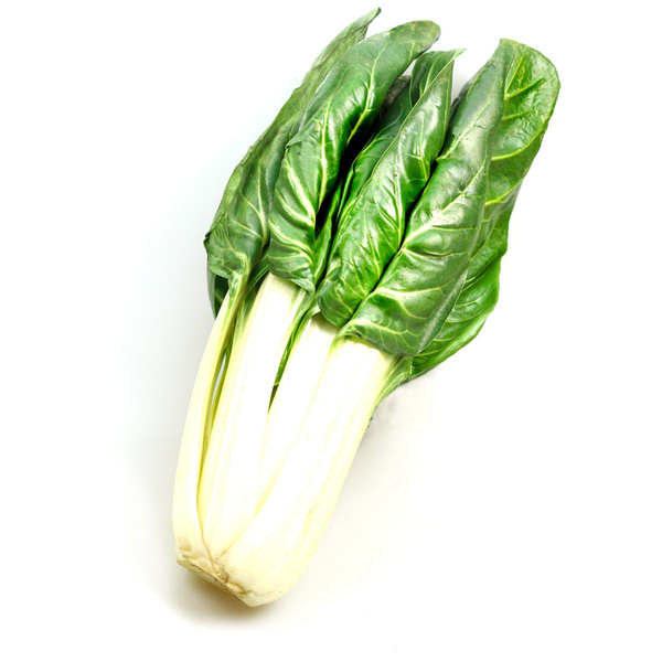 Produktfoto zu Mangold als Staude, ca. 700g pro Stück