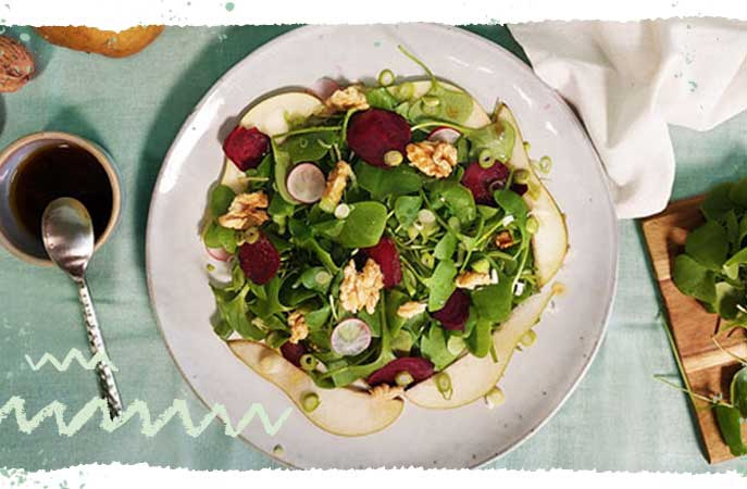 Wilder Wintersalat mit Postelein